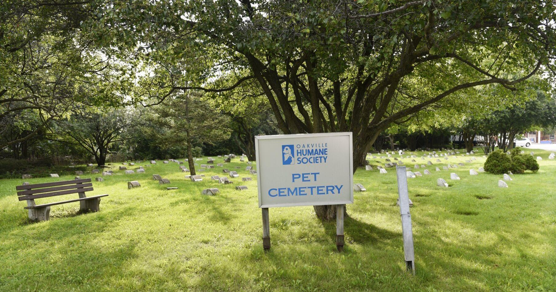 'Utmost care': Why Oakville and Milton Humane Society is excavating its pet cemetery - Vimarsana News