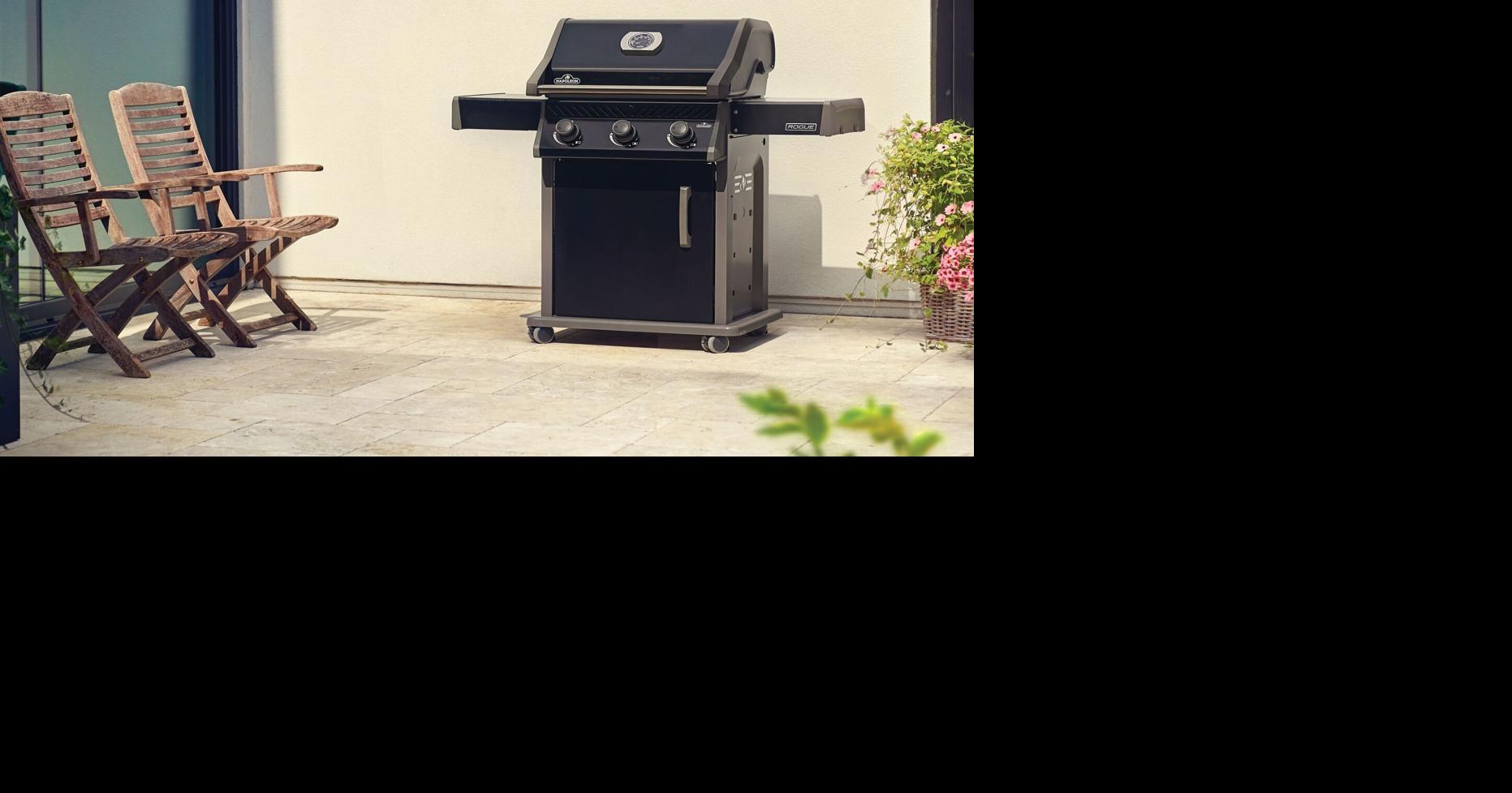 Your Ontario barbecue may be a winter hideout for pests