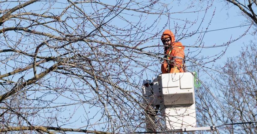 Hydro crews still working to restore power across Ontario