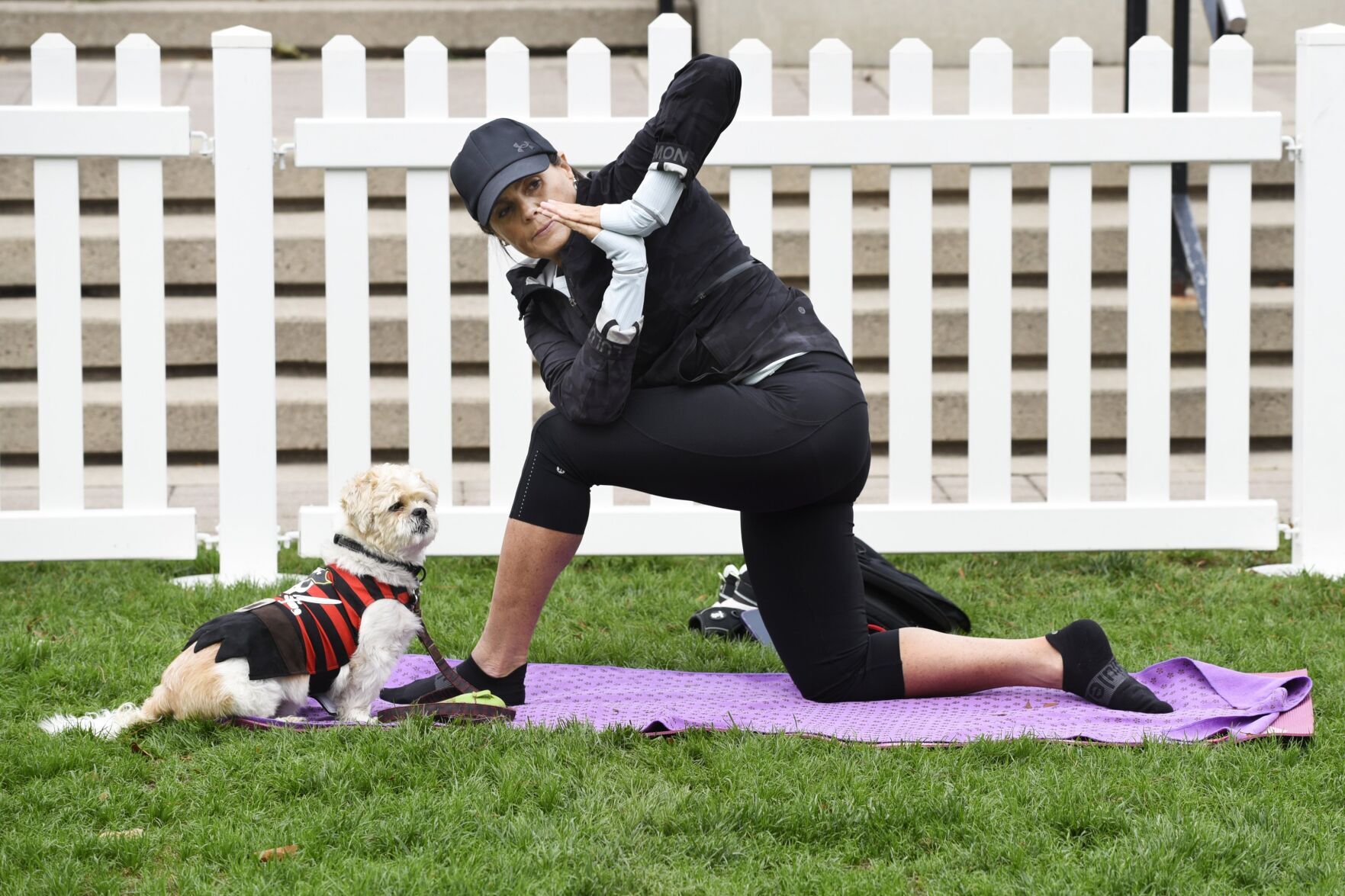 Dog lovers descend on downtown Oakville