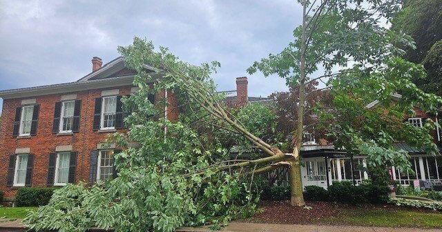 Cleanup continues in Oakville: 'Significant Weather Event' remains in effect following last Thursday’s storms