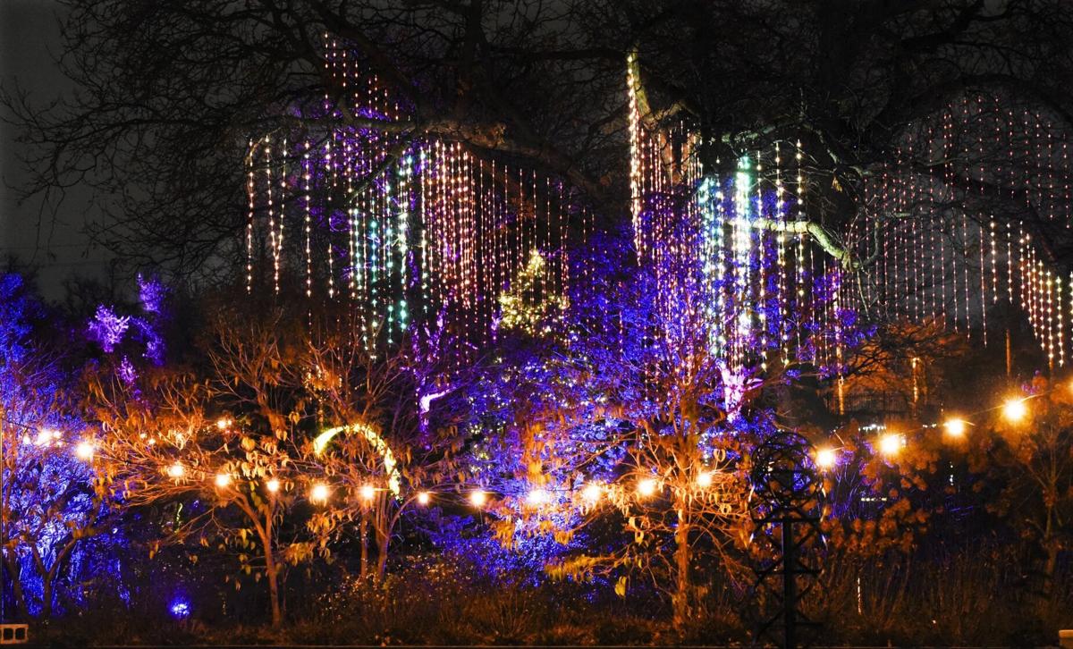 Norfolk Botanical Gardens Lights Promo Code Shelly Lighting