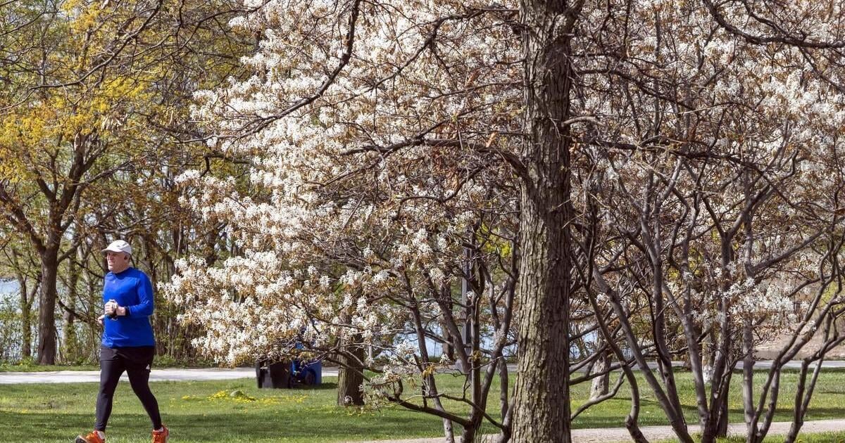 Old Farmer Almanac 2026 spring forecast for Ontario