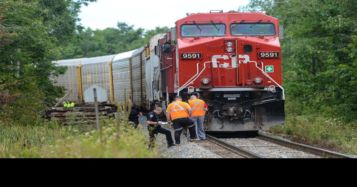 Man and woman killed by freight train identified as Burlington couple