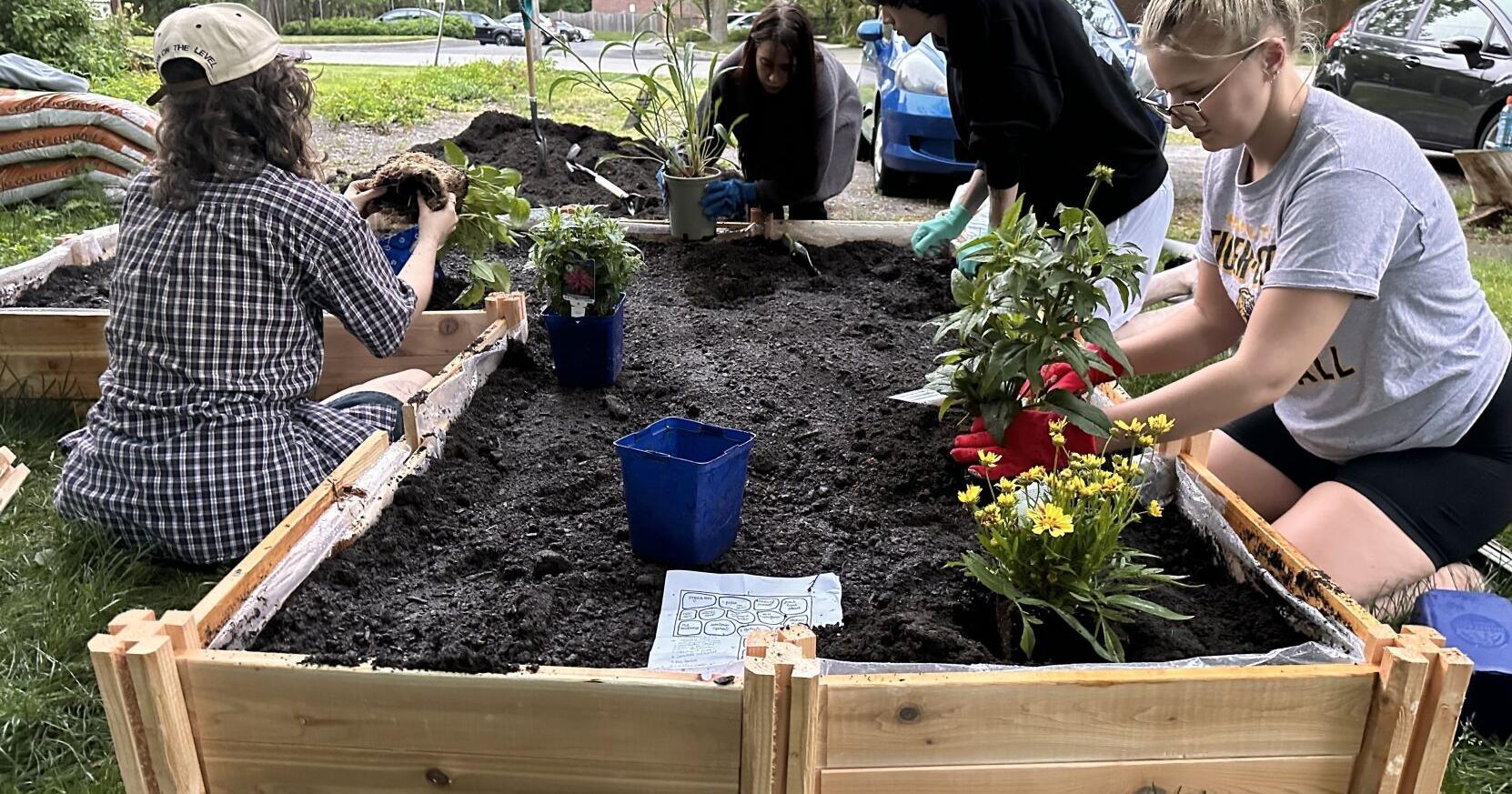 Young Burlington environmentalists present gift to city - Vimarsana News