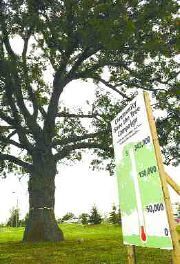 Save-the-tree campaign gets major donation