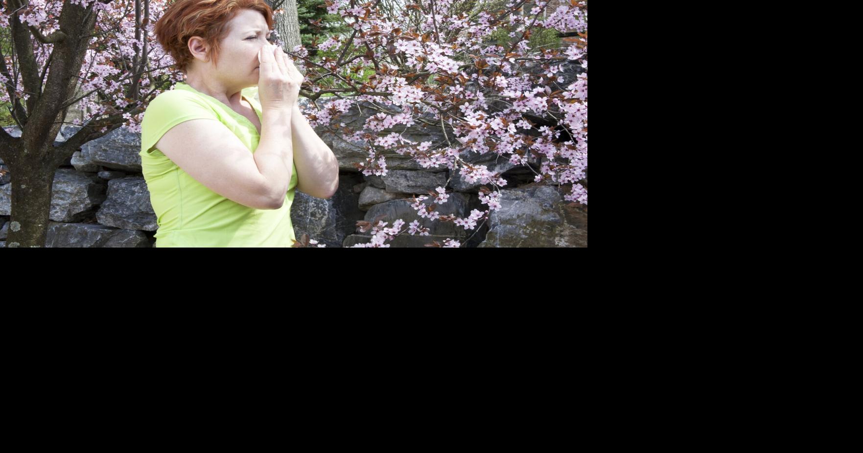 Worst cities for allergies in Ontario as pollen counts explode. See where your city ranks and best ways to get relief