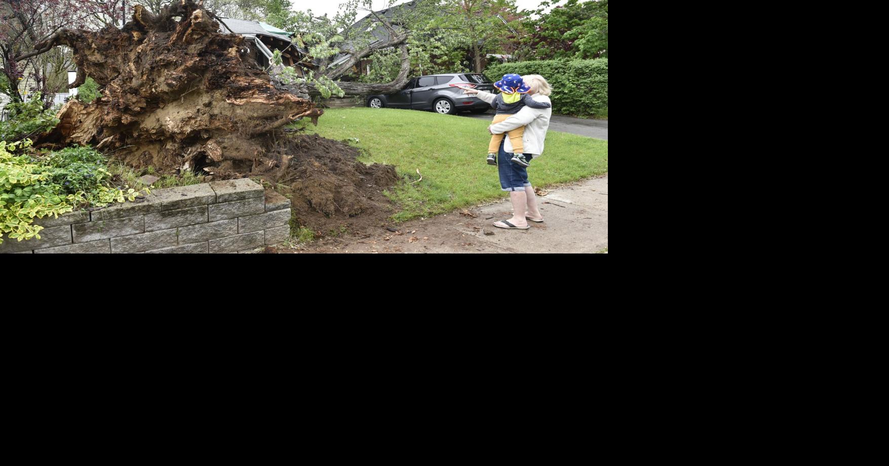 'Heavily impacted' Halton Region adding more waste collection in