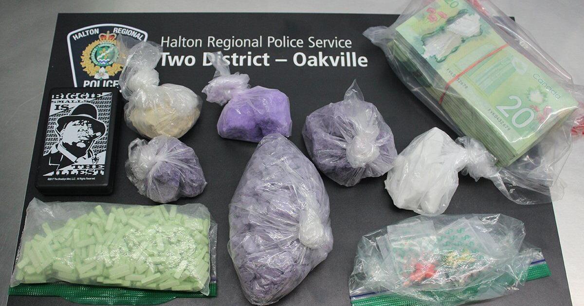 Halton police seize drugs, cash and stolen vehicles following ...