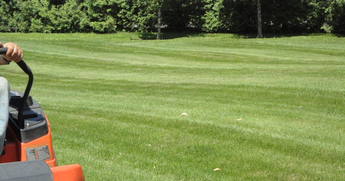 Floratech FloraTech Landscaping — experience and professionalism you can trust