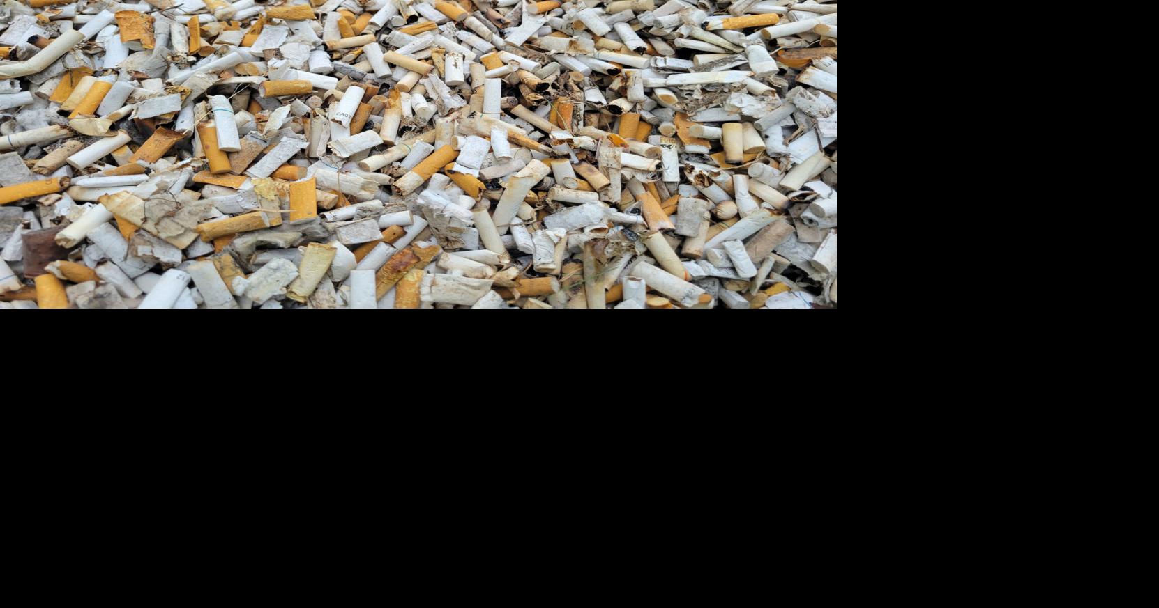 can you travel internationally with tobacco Charting Global Tobacco Use by Country and Sex