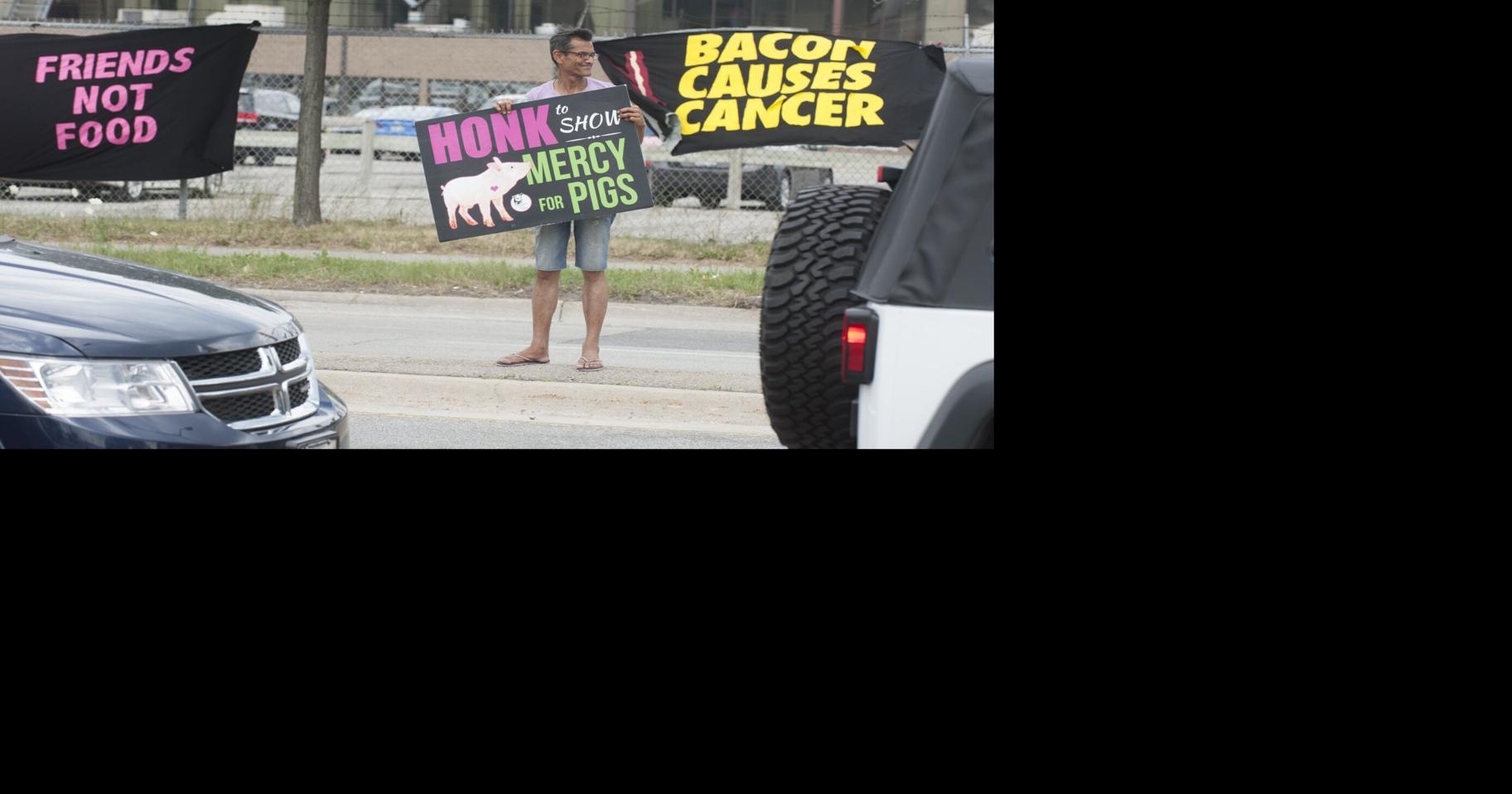 Animal rights group wants trucks carrying pigs to stop outside Fearmans ...