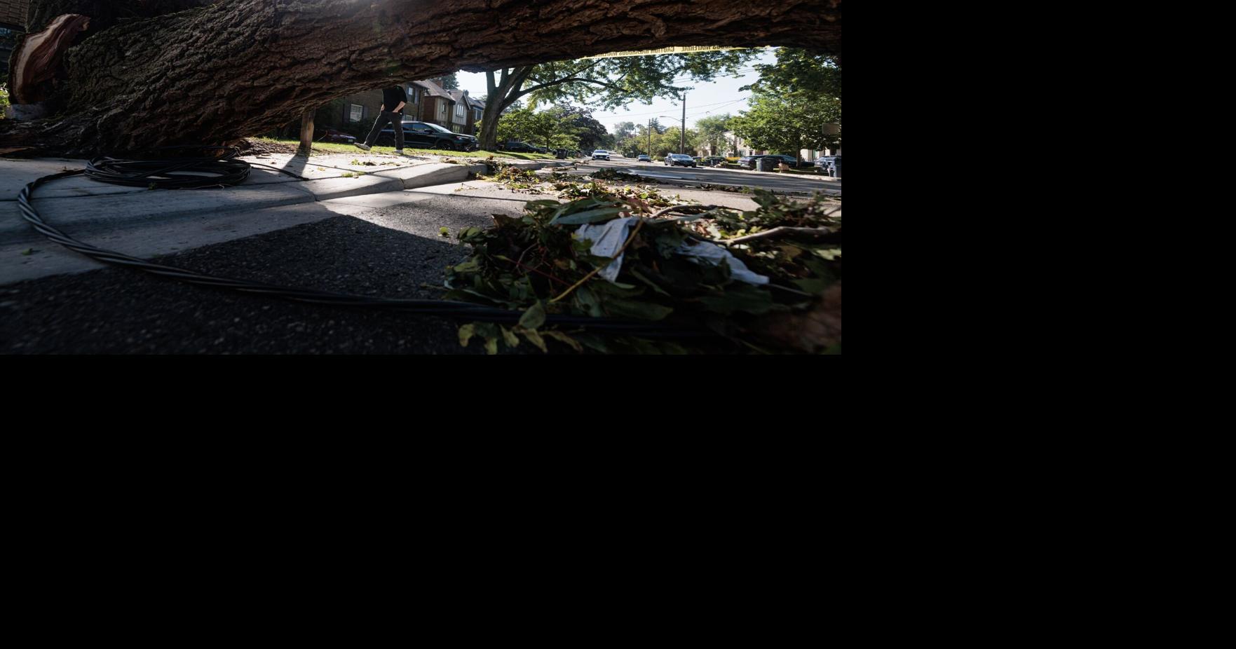 Ontario Storm Wednesday: Tornado investigation, power outage