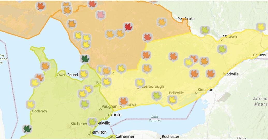 How to check when fall colours will be at peak viewing time