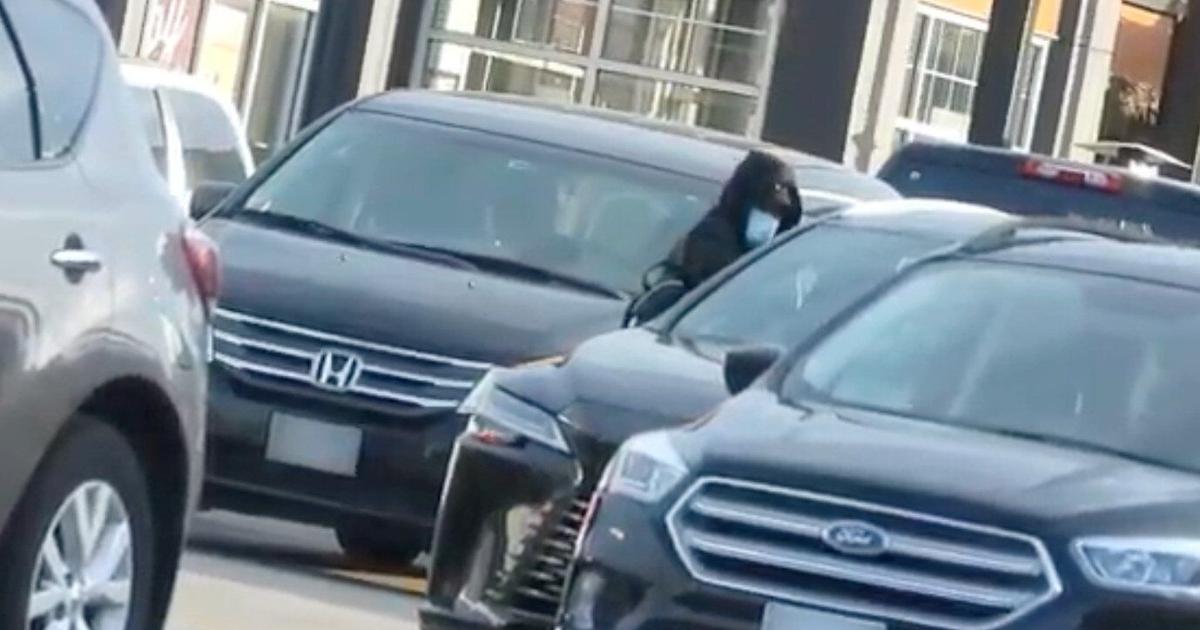 Halton police make arrests following investigation of organized auto thefts in Oakville