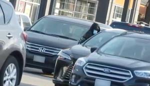 Auto Theft Arrests in Oakville: Protect Your Vehicle