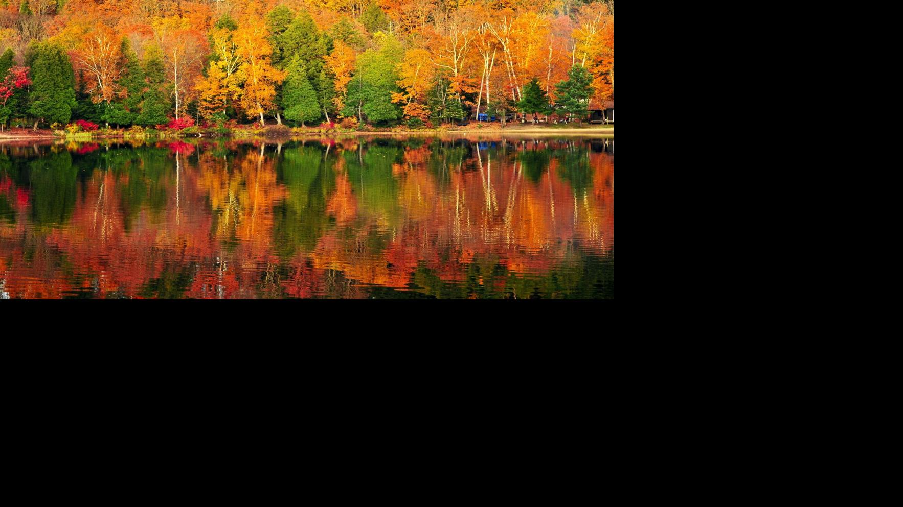 Here’s when Ontario’s fall colours are expected to peak