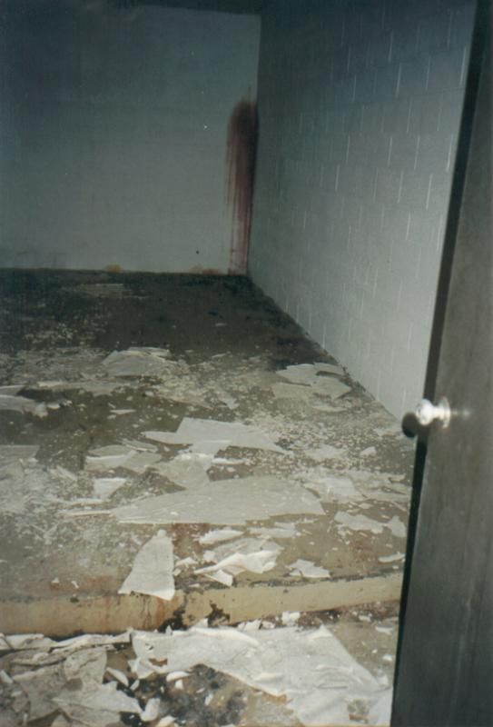 Ebola comes to the Reston monkey house Multimedia