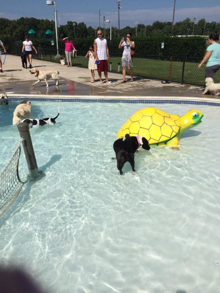 larry weeks community pool