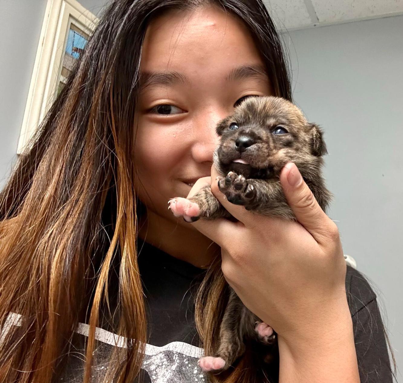 Old Dominion Humane Society rescues 22 dogs from Kentucky | Headlines