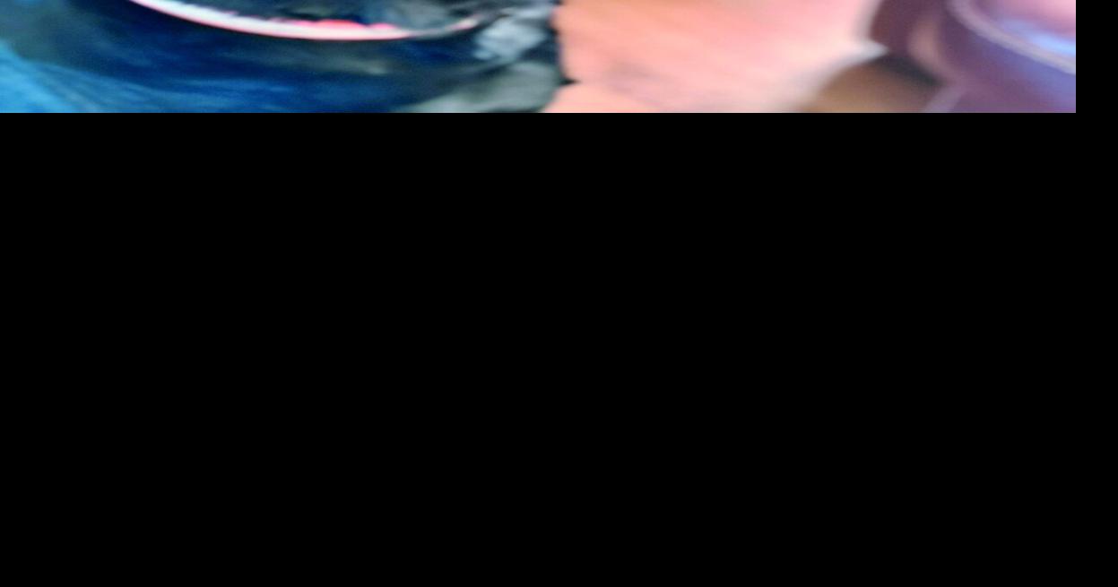 Guest Column: What if politicians were Labrador retrievers?