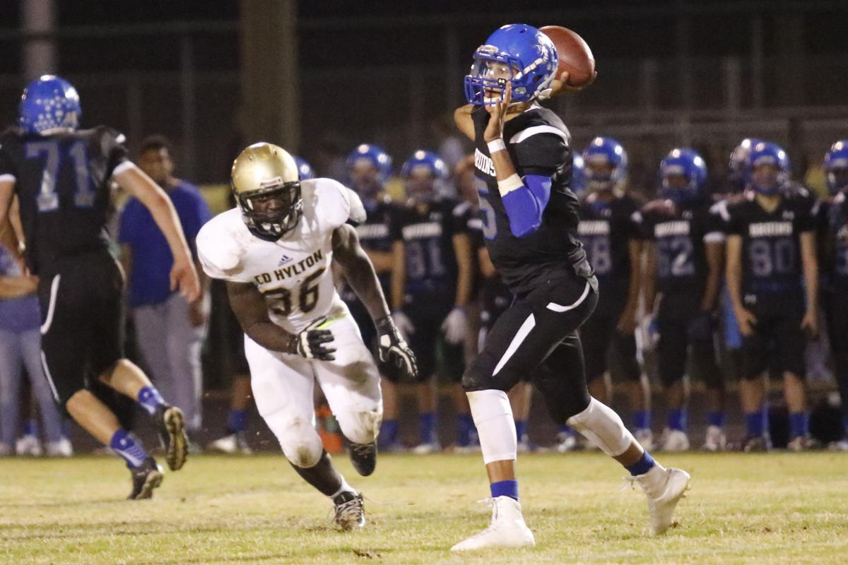 HyltonForest Park football Multimedia