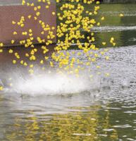 Making waves: Occoquan Duck Splash raises $4,000 for nonprofit