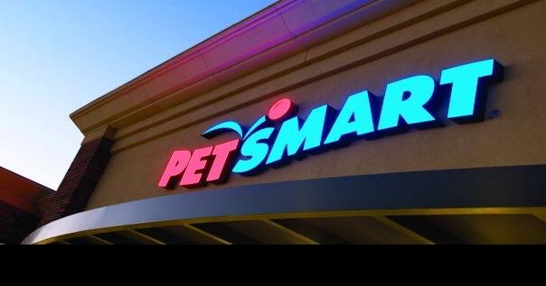 Three dogs die after stays at Alexandria PetSmart pet hotel | Headlines