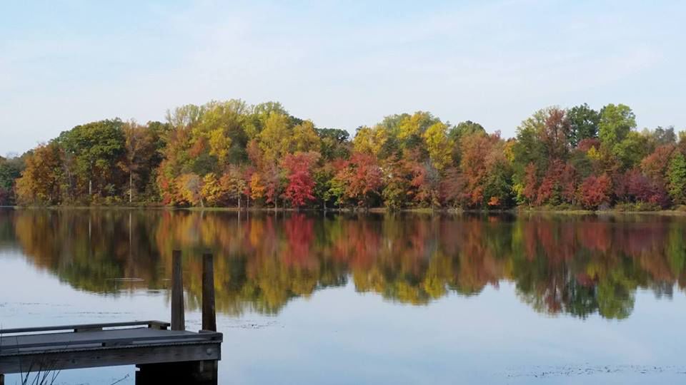 YOUR PHOTOS Fall in Northern Virginia Headlines