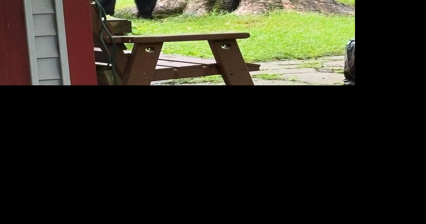 Virginia's bears are waking up hungry; secure garbage and birdseed!