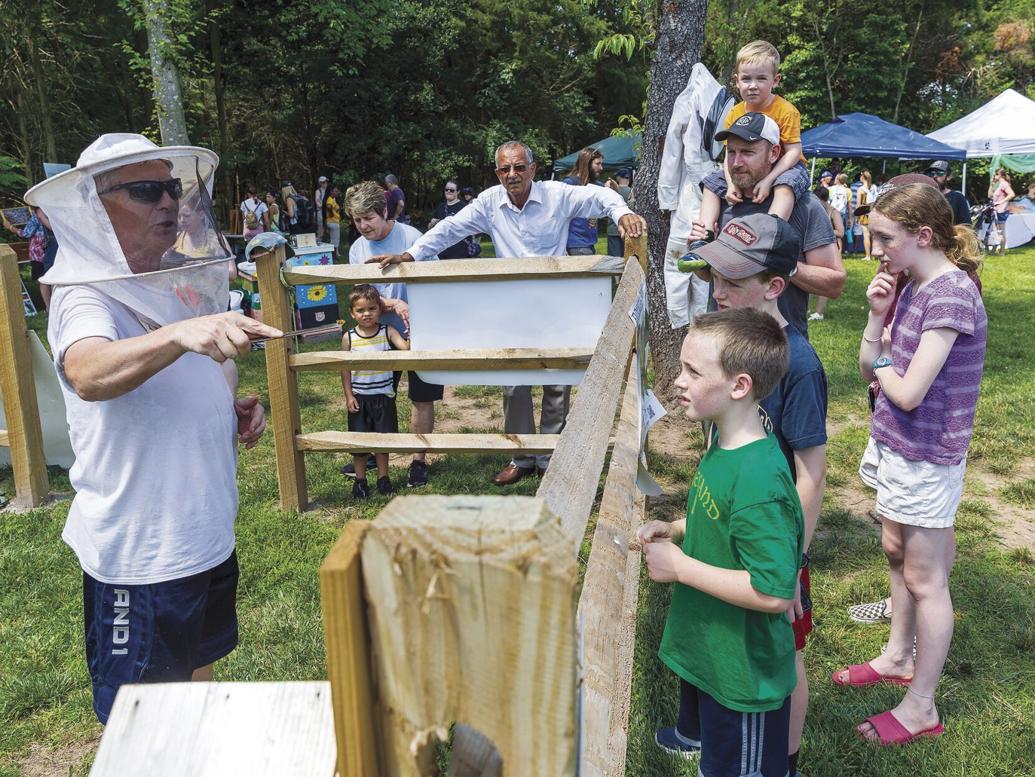 Bee festival returns to Manassas on Saturday Headlines