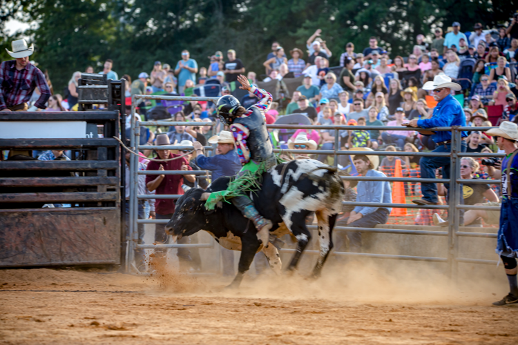 Culpeper’s first professional rodeo a success