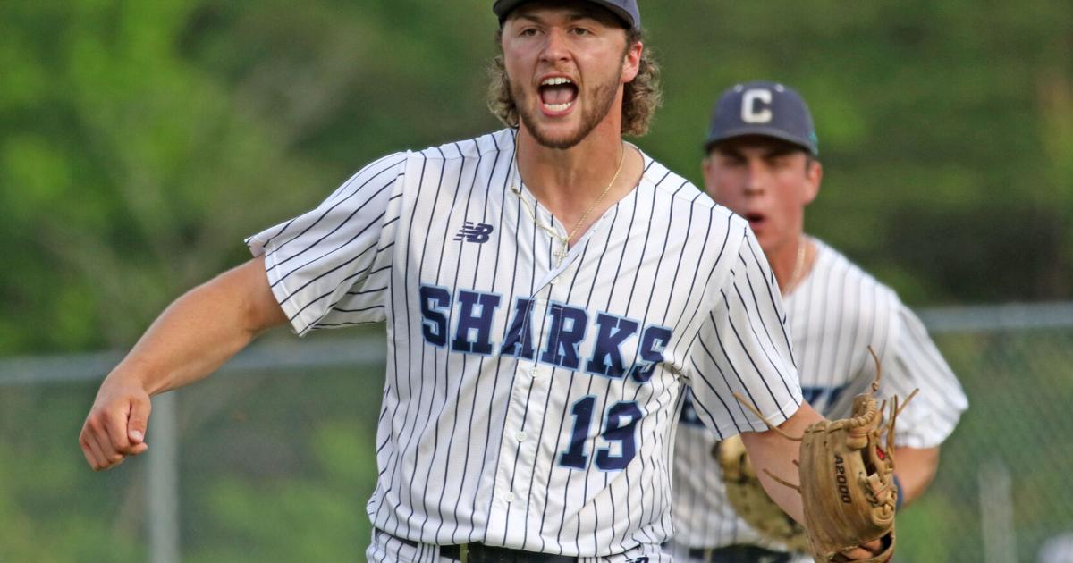 PHOTOS: Patriot-Colgan baseball | Prince William | insidenova.com
