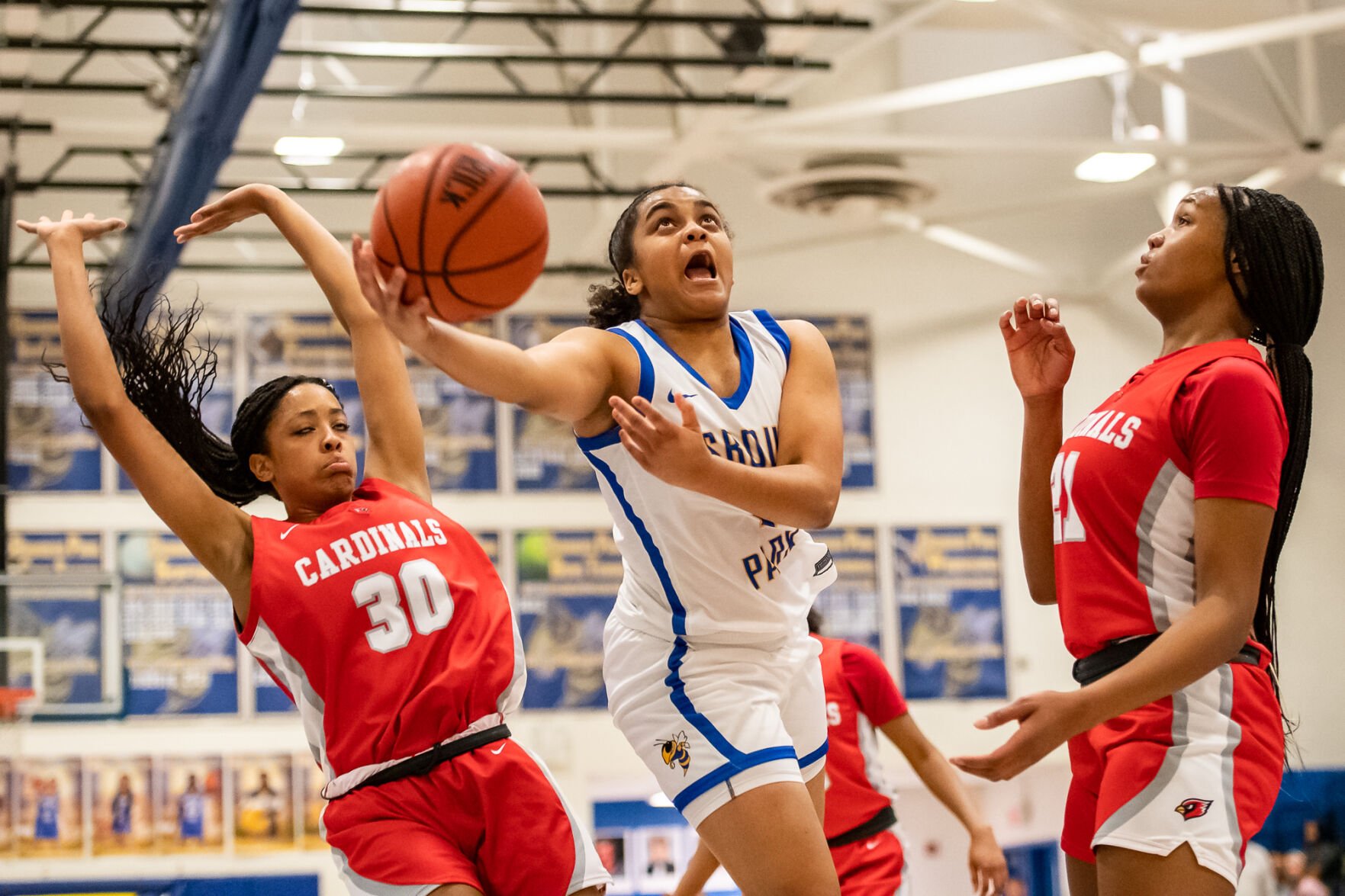 Osbourn Park's Alana Powell Is The Region Girls Basketball Player Of ...