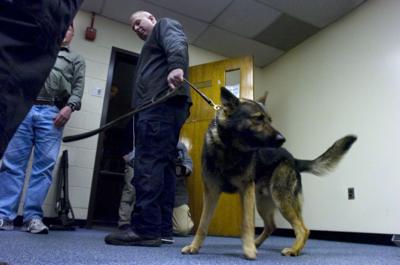 How are Police Dogs Trained: Unveiling Expert Techniques