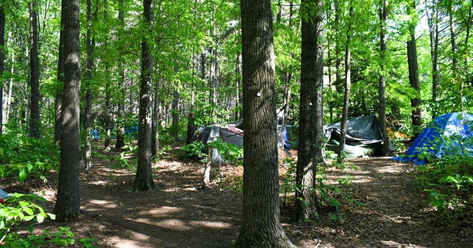 Fairfax County reports decline in homelessness | Headlines - Vimarsana News