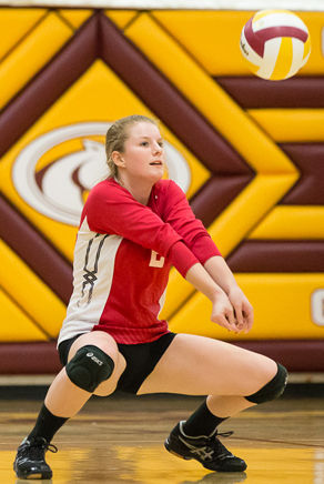 Volleyball roundup: McLean off to a strong start with 14 victories | Sports  