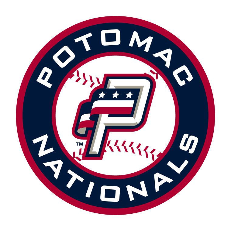 Washington Nationals 2017  Washington nationals baseball, Nationals  baseball, Baseball teams logo