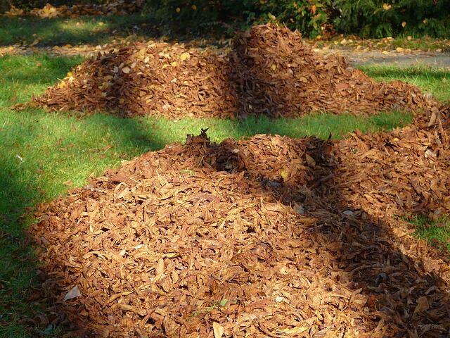 Plastic Bags Are Out and Paper Is In for Yard Waste, Fairfax County Says