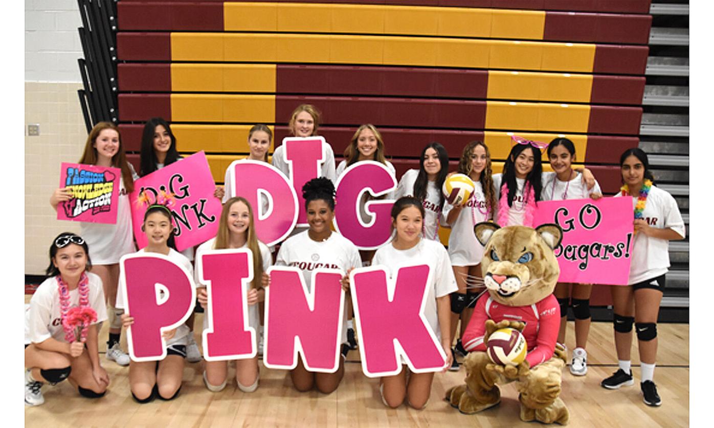 Oakton volleyball teams host Dig Pink matches