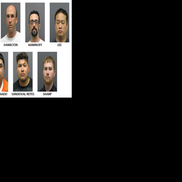 Seven men arrested in Internet crimes against children sting ...
