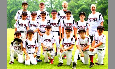 Anderson youth baseball honors Negro League with new team names