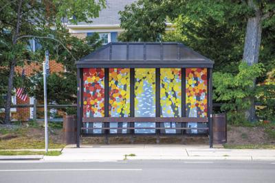 Copy of Page 6 Bus Shelters Old Bridge Road.jpg