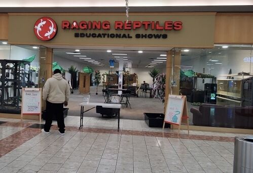 Change of plans: Raging Reptiles opens at Manassas Mall | Headlines