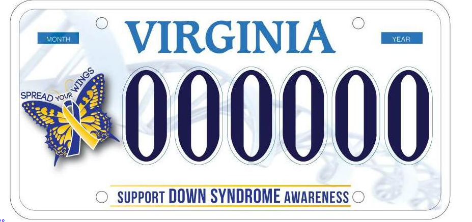 Dmv Unneeded Tags Can Now Be Surrendered Electronically Transportation Insidenova Com