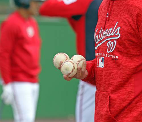 Potomac Nationals Plan Move To Fredericksburg