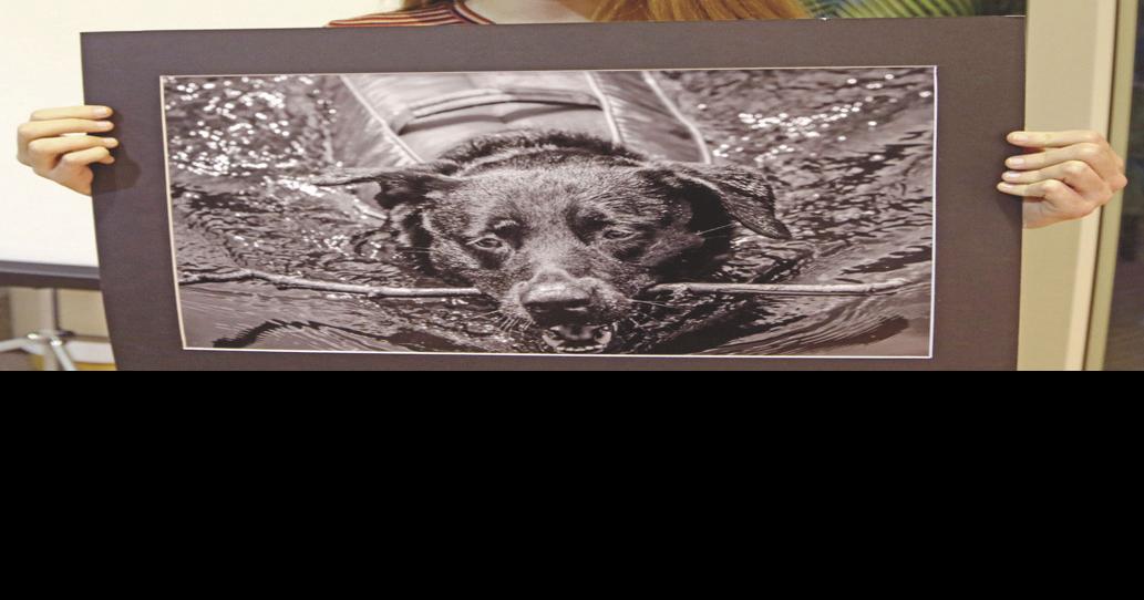 Retriever photo takes top honor at Water Art Invitational Prince