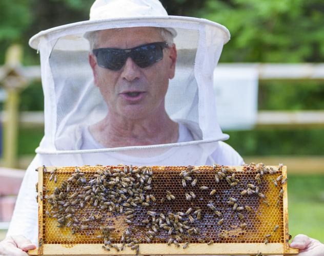 Fairs, festivals and fireworks Northern Virginia summer events guide 2023 Headlines