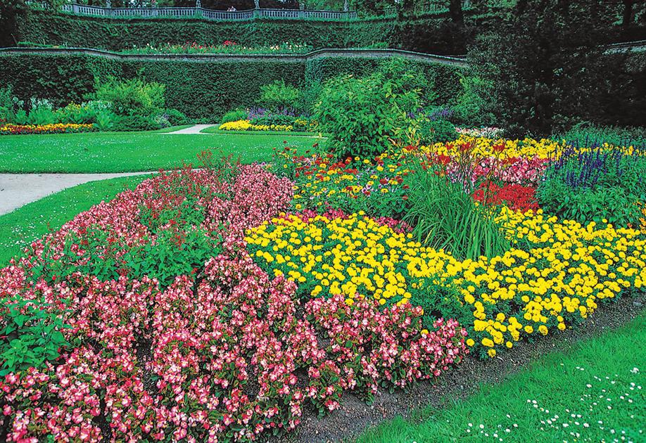Sign of spring: Choose your color plan and start planting flowers