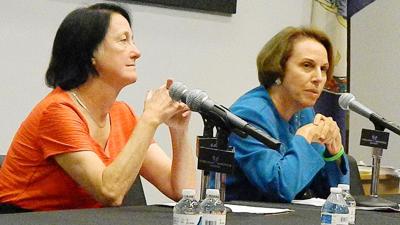 Challenger Raps Arlington Board For Overreach During Crisis Election Insidenova Com